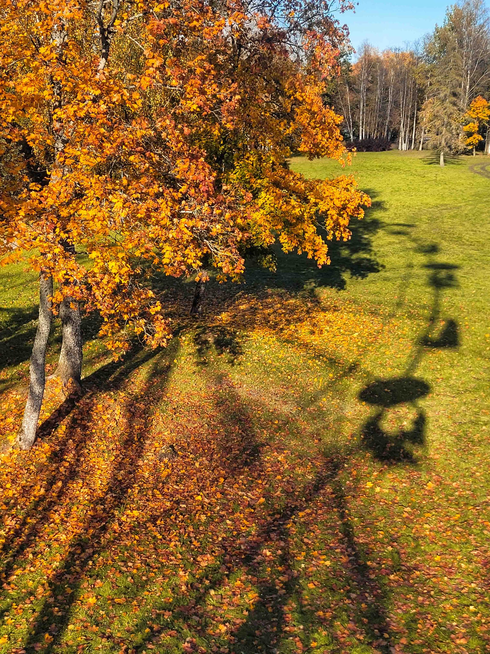 Siguldas panorāmas rats