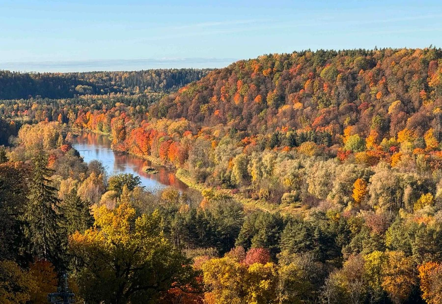 Zelta rudens Siguldā