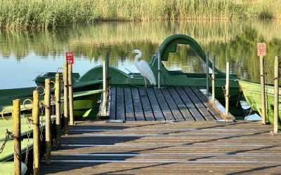Kā uzsākt spiningošanu, nepazemojot sevi un nesavainojot apkārtējos
