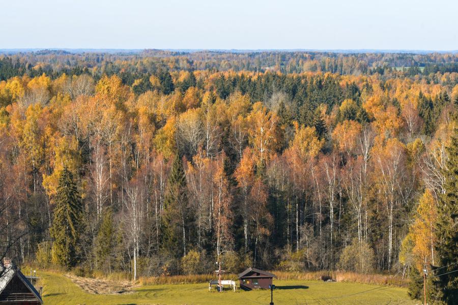 Rudens Gaiziņkalnā un Ērgļos