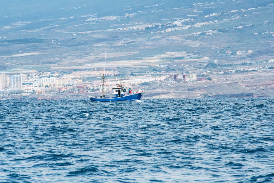 Tenerifes piekrastes zvejnieki