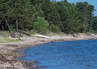 Starp Abragciemu un Bērzciemu