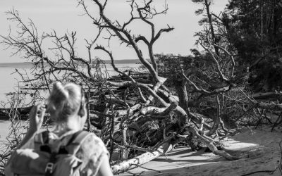 Kolka: par saulrietiem, butēm un kājgriežiem