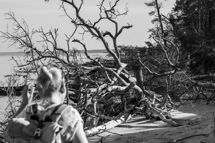Kolka: par saulrietiem, butēm un kājgriežiem